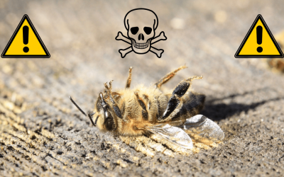 La contaminación electromagnética como causa la desaparición de las abejas